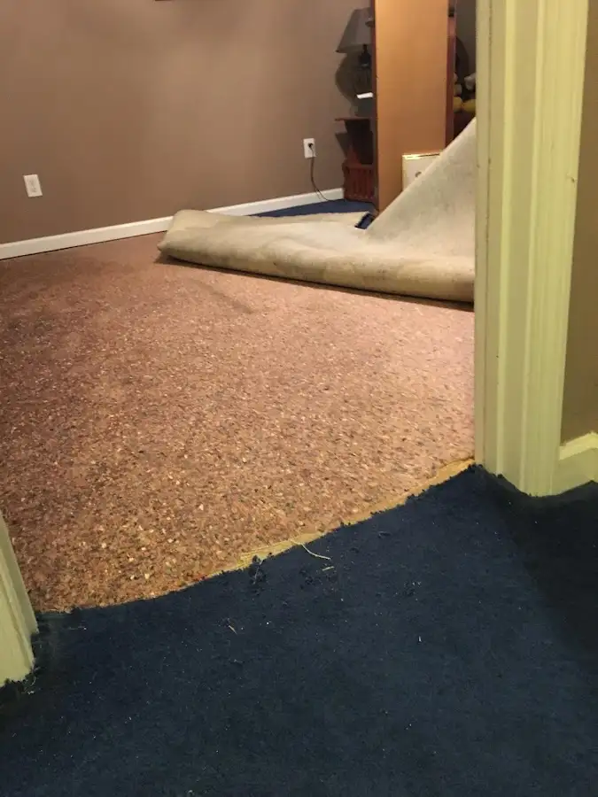 Carpet pad removal revealing water damage during Water Mitigation Services in Lakeland