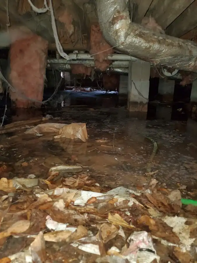 Crawl space flood assessment for Commercial Water Damage Restoration in Lakeland